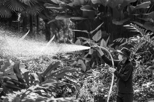 Comparer les meilleurs pulvérisateurs de jardin